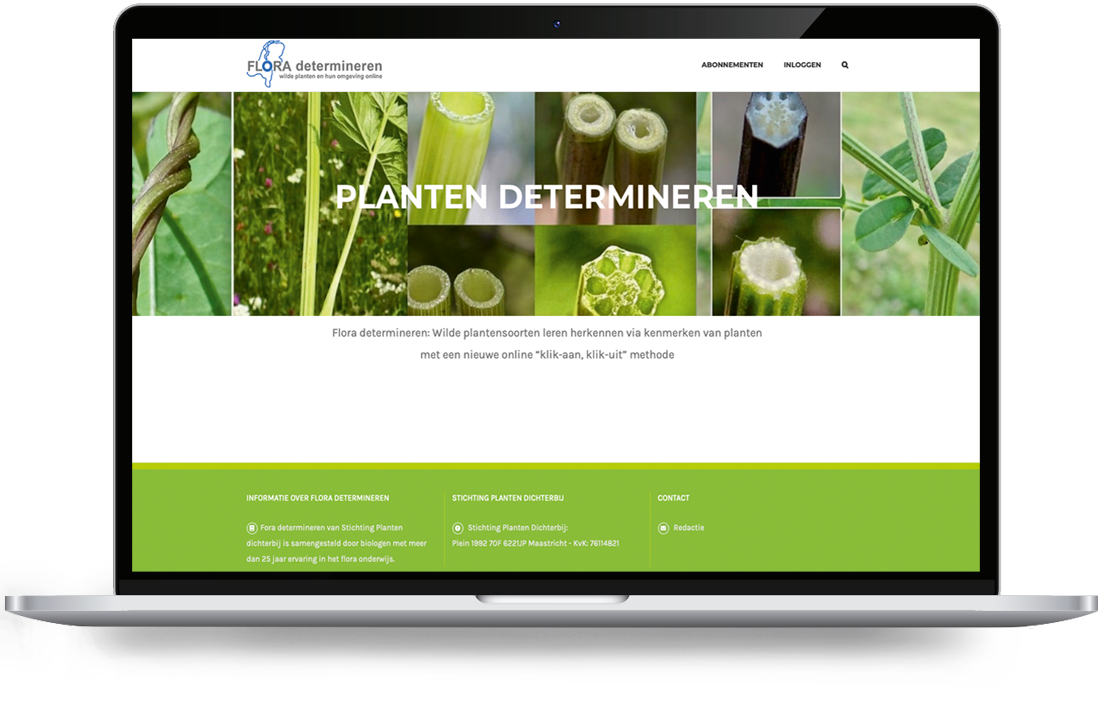 floradeterminieren von Webdesign Holland - LeTigre Webdesign Holland Screenshot der Kopfzeile einer Website mit dem Titel „Flora bestimmen“, auf der eine Collage aus Pflanzenbildern zu sehen ist, überlagert vom Titel „PFLANZEN BESTIMMEN“, sowie einem grünen Fußzeilenbereich darunter.